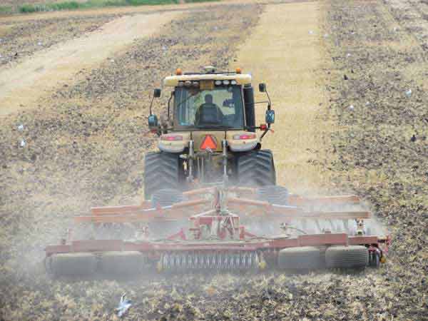 Vegetable Farm