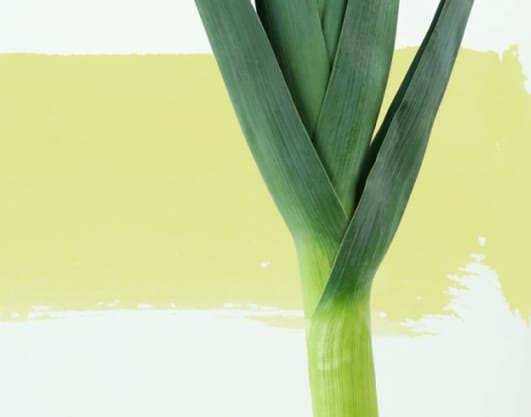 Green onion