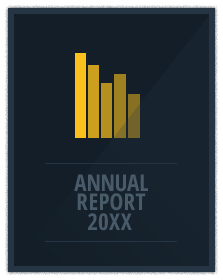 Company annual reports that contain important financial information