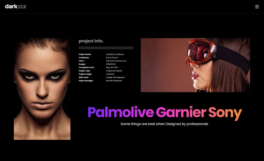 Screenshot of the demo website