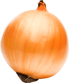 onion