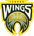 Icarus Wings