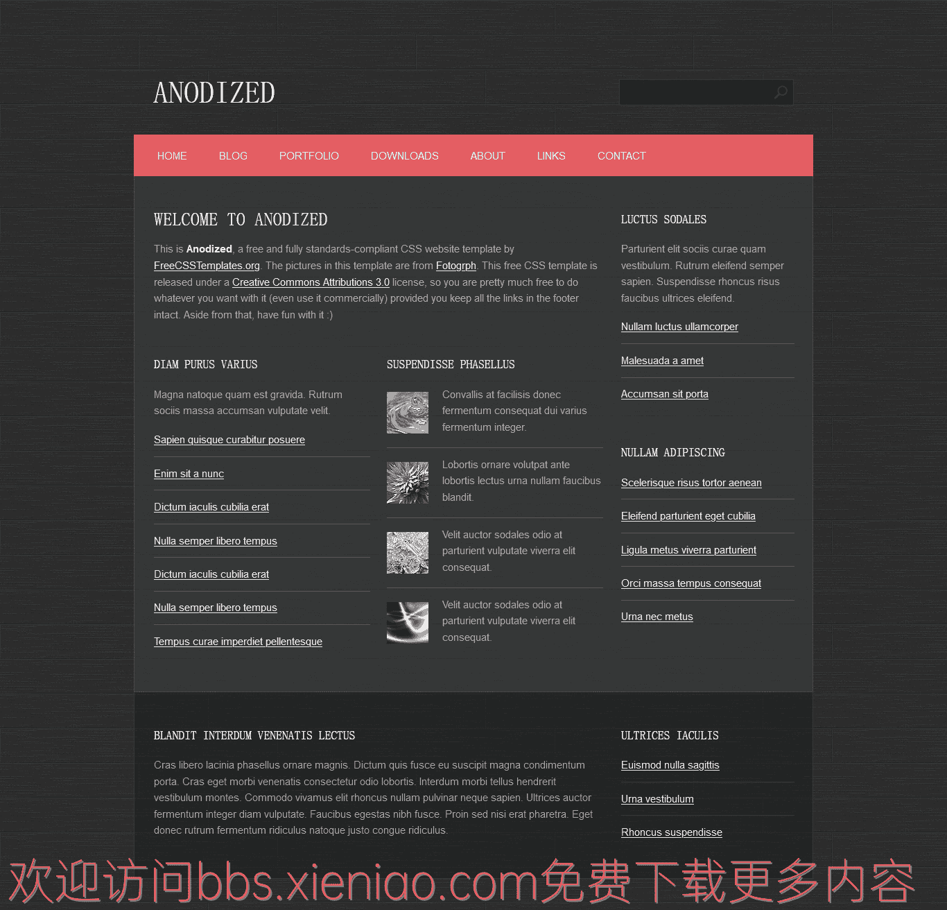 灰黑电镀质感网页模板免费下载html-血鸟社区