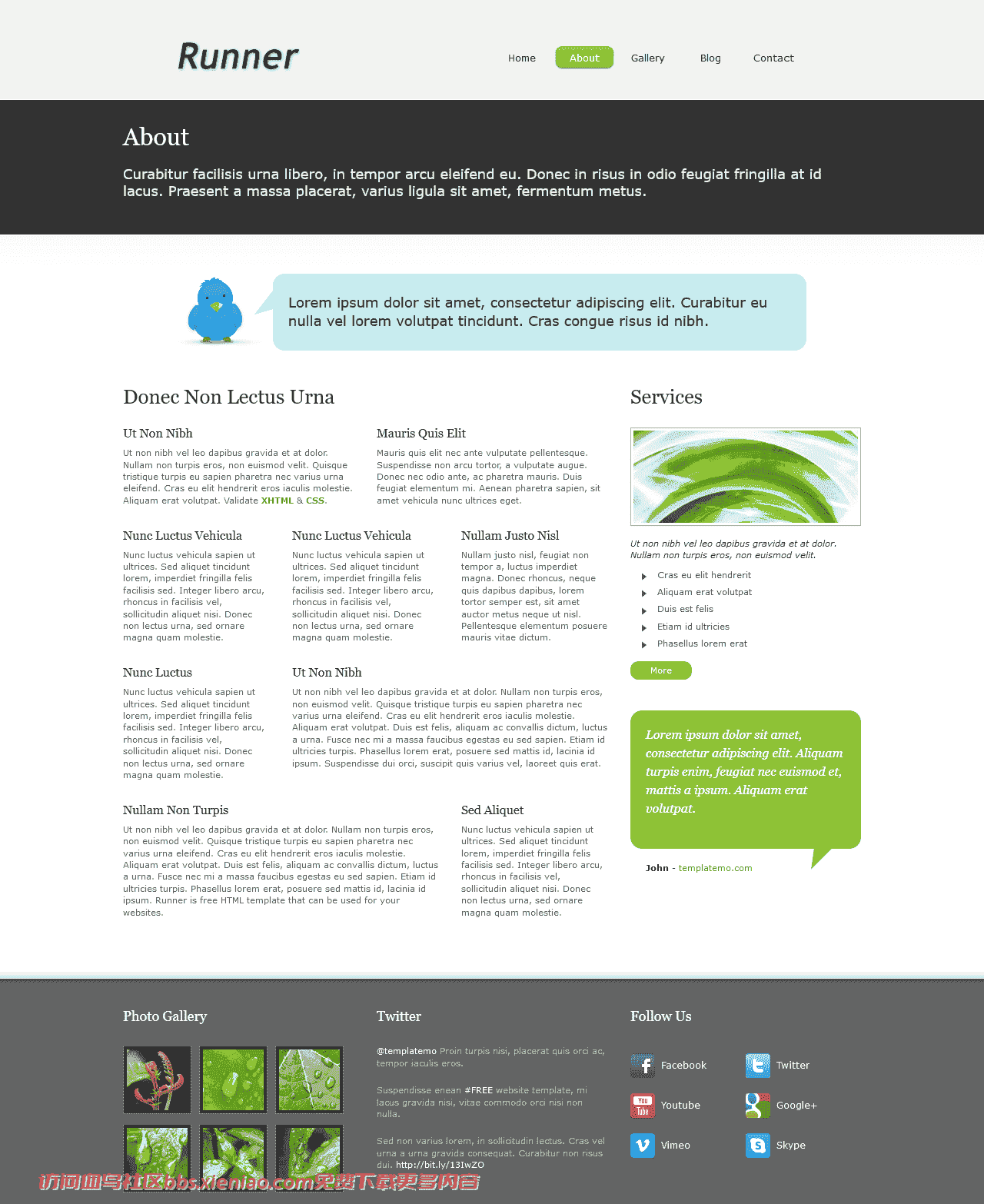 简洁产品信息日志网页模板免费下载html-血鸟社区