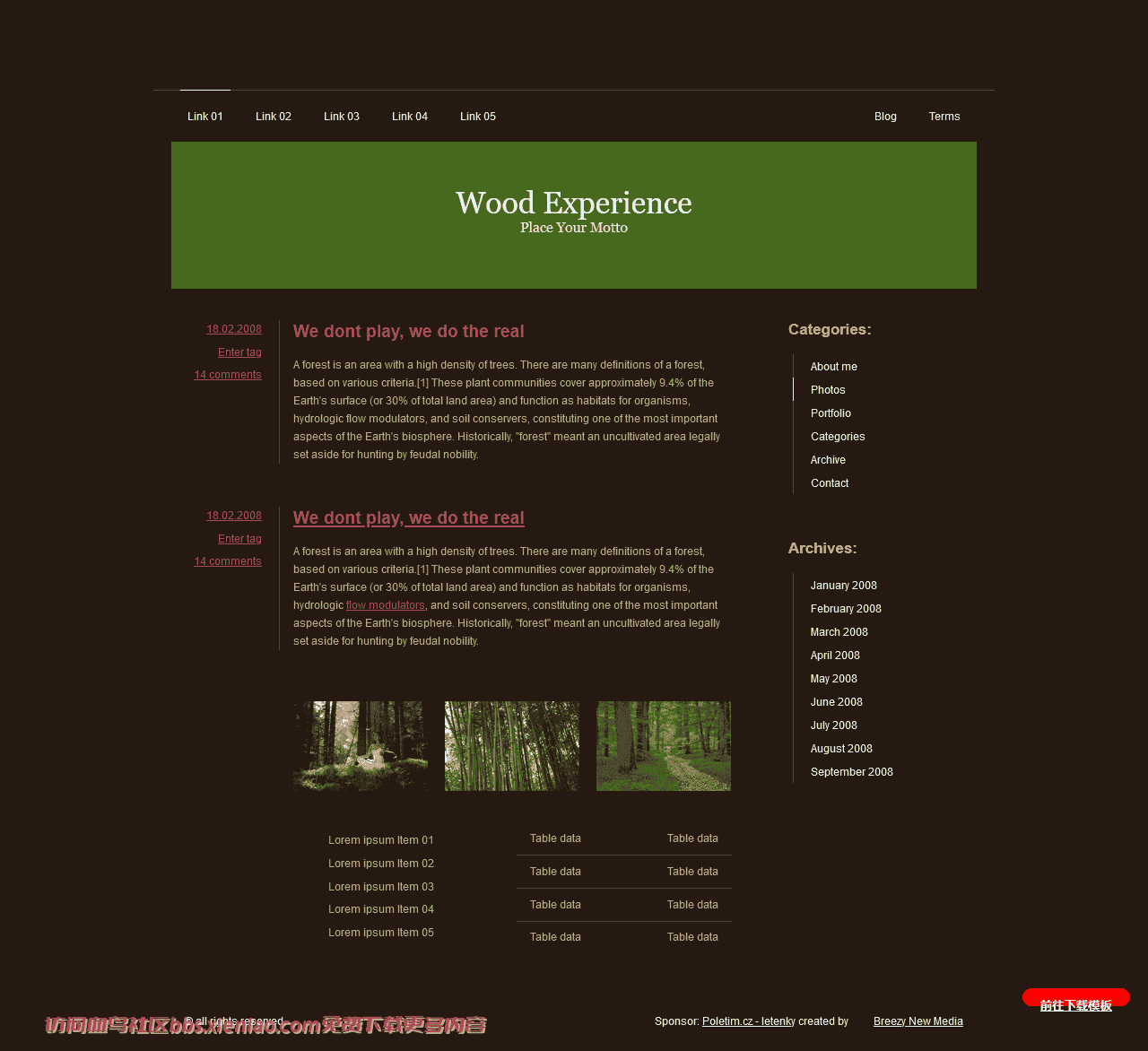 艺术或摄影环境户外个人服务html网站模板-血鸟社区