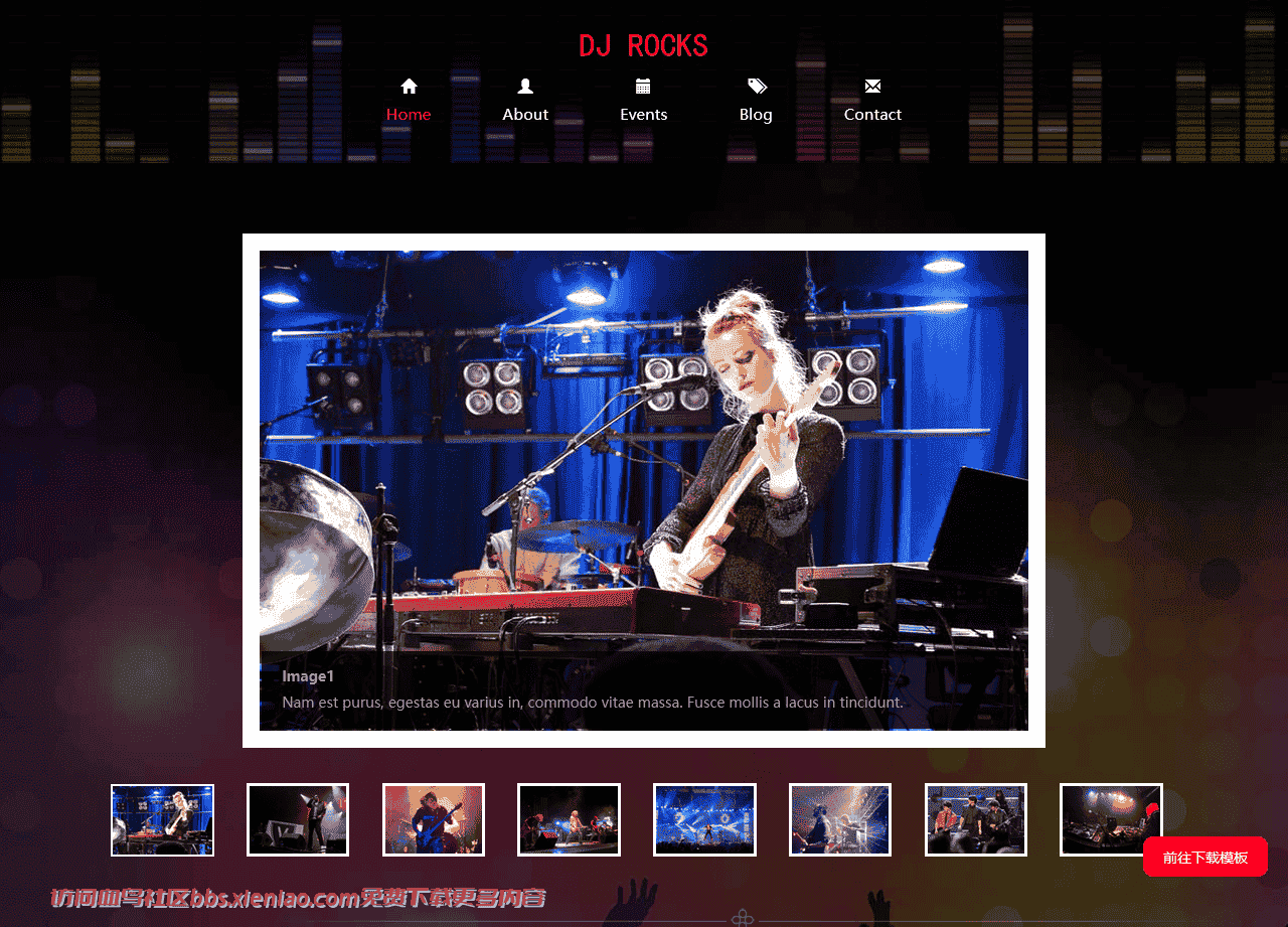 DJ摇滚乐队响应式网页模板-血鸟社区