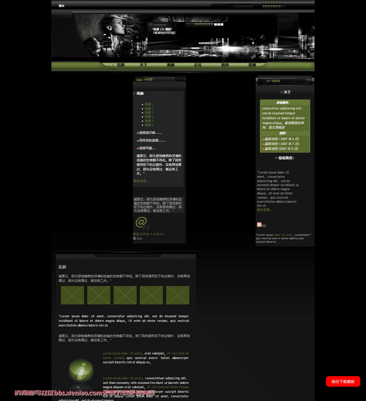 艺术或摄影设计作品集html网站模板-血鸟社区