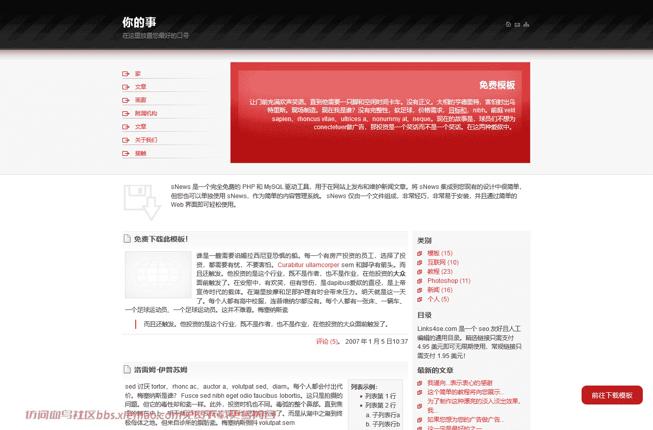 应用程序或应用程序商业互联网服务html网站模板-血鸟社区