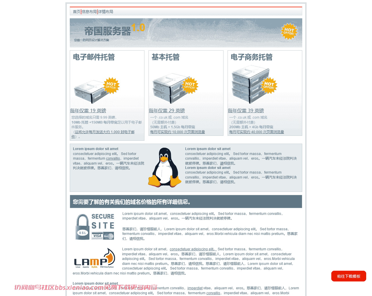 计算机主机互联网服务软件html网站模板-血鸟社区