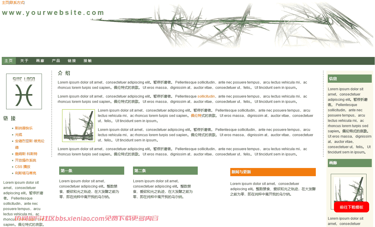 商业生态环境论坛门户网站html网站模板-血鸟社区