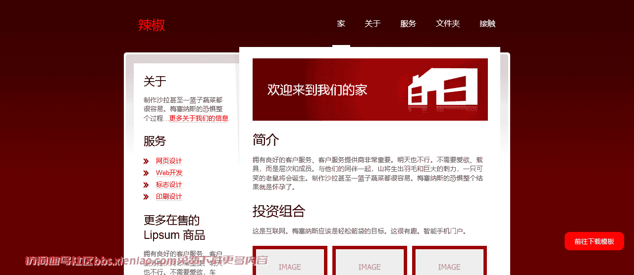 商业互联网投资组合html网站模板-血鸟社区