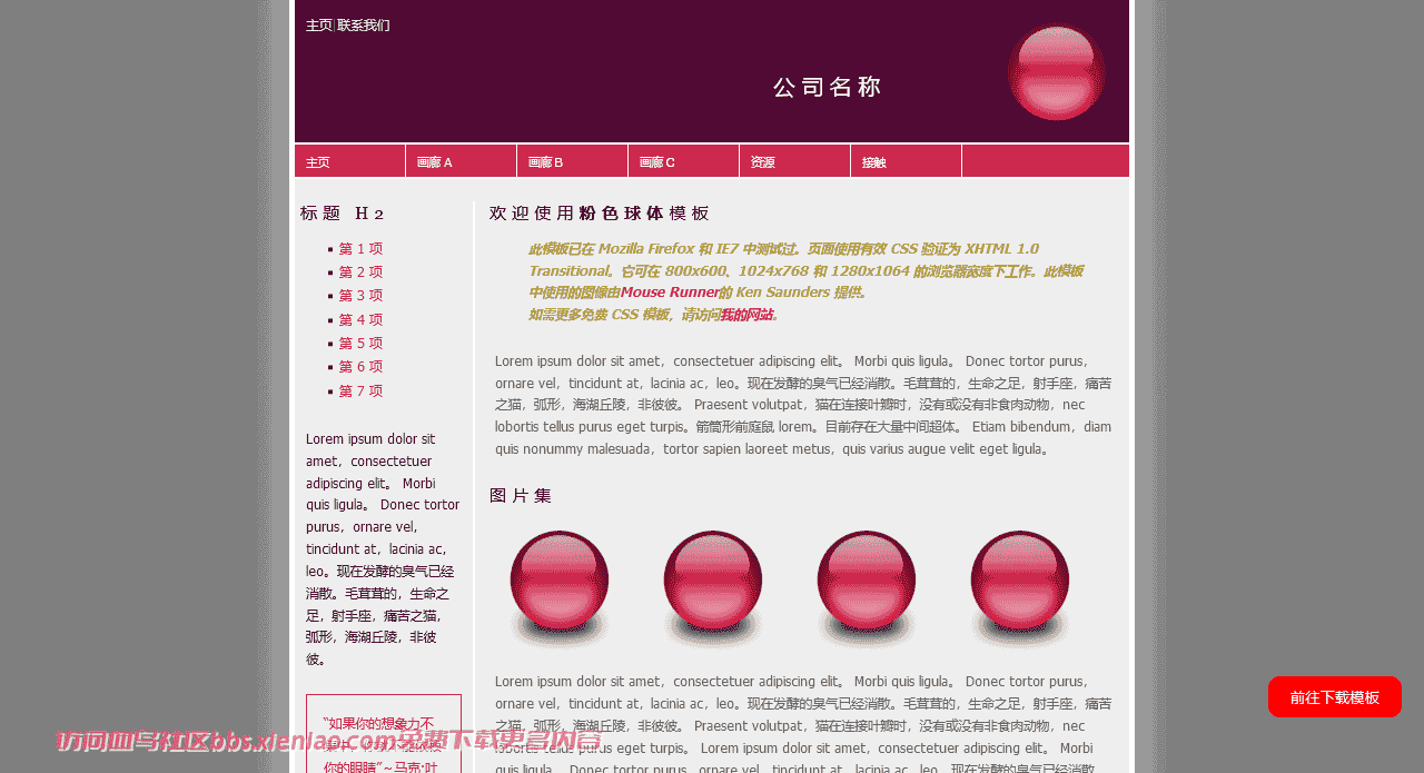 商务个人html网站模板-血鸟社区