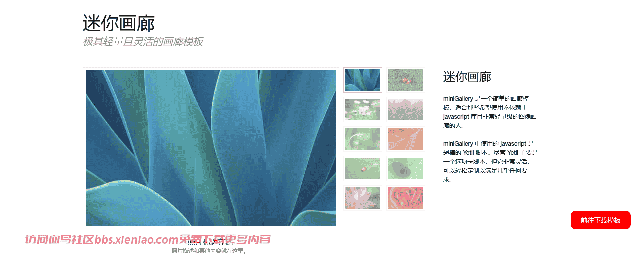 艺术或摄影商业画廊个人作品集html网站模板-血鸟社区