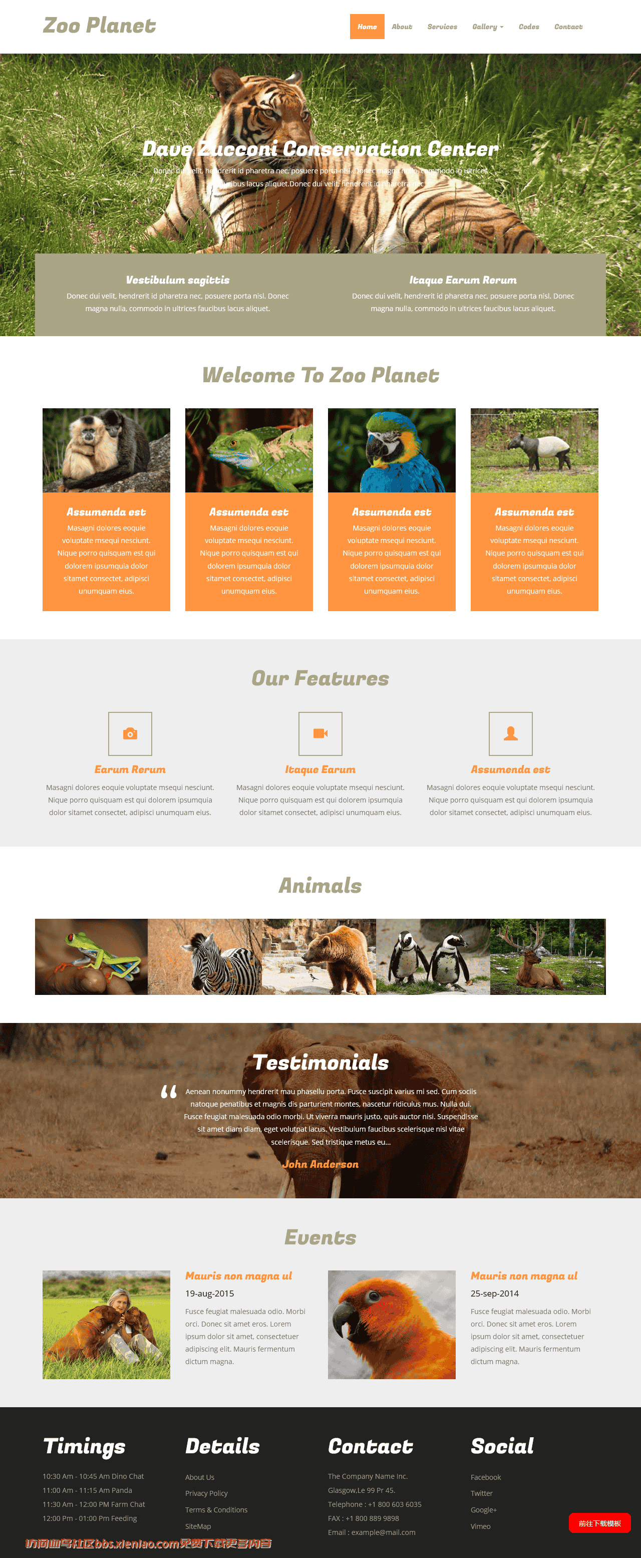 野生动物园响应式网页模板免费下载html-血鸟社区