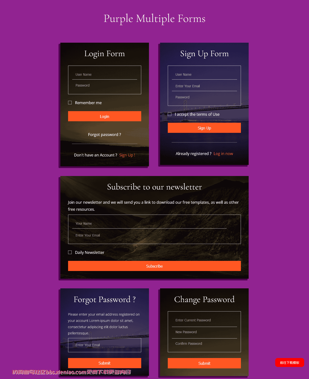 紫色多形式表单网页模板免费下载html-血鸟社区