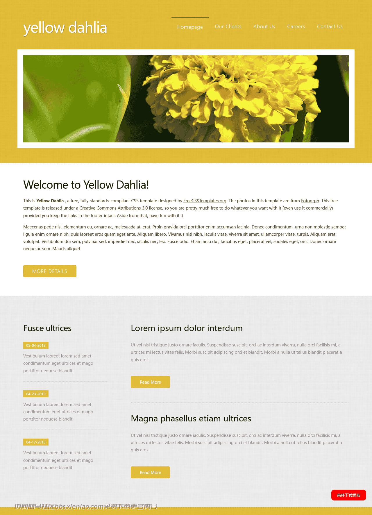 黄色大丽花信息网页模板免费下载html-血鸟社区