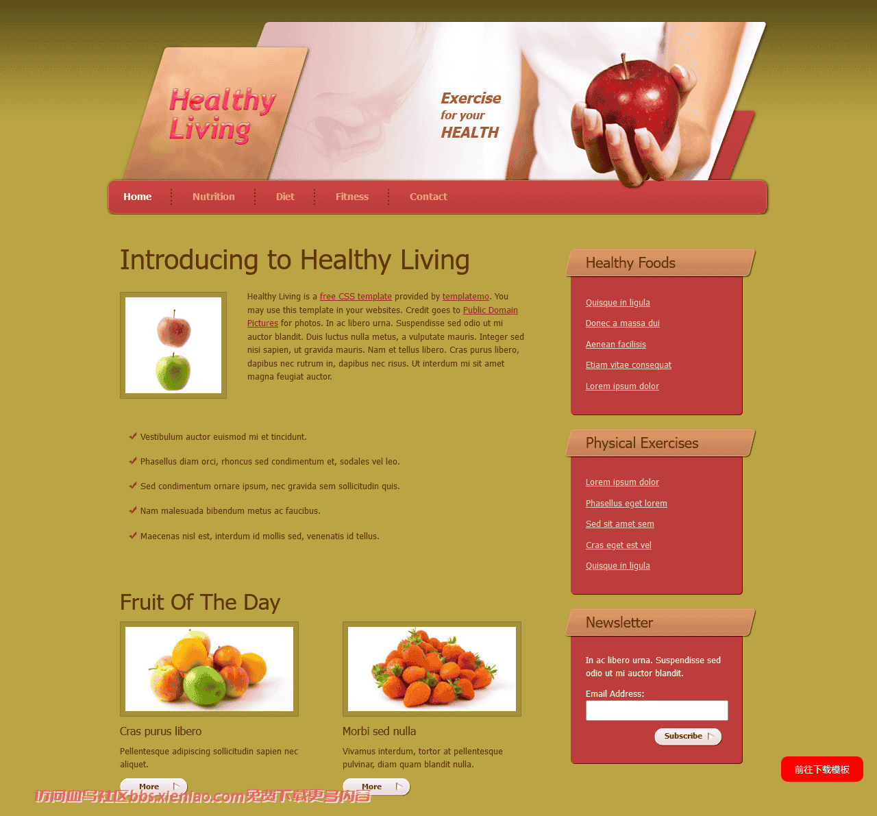 健康营养水果产品网页模板免费下载html-血鸟社区