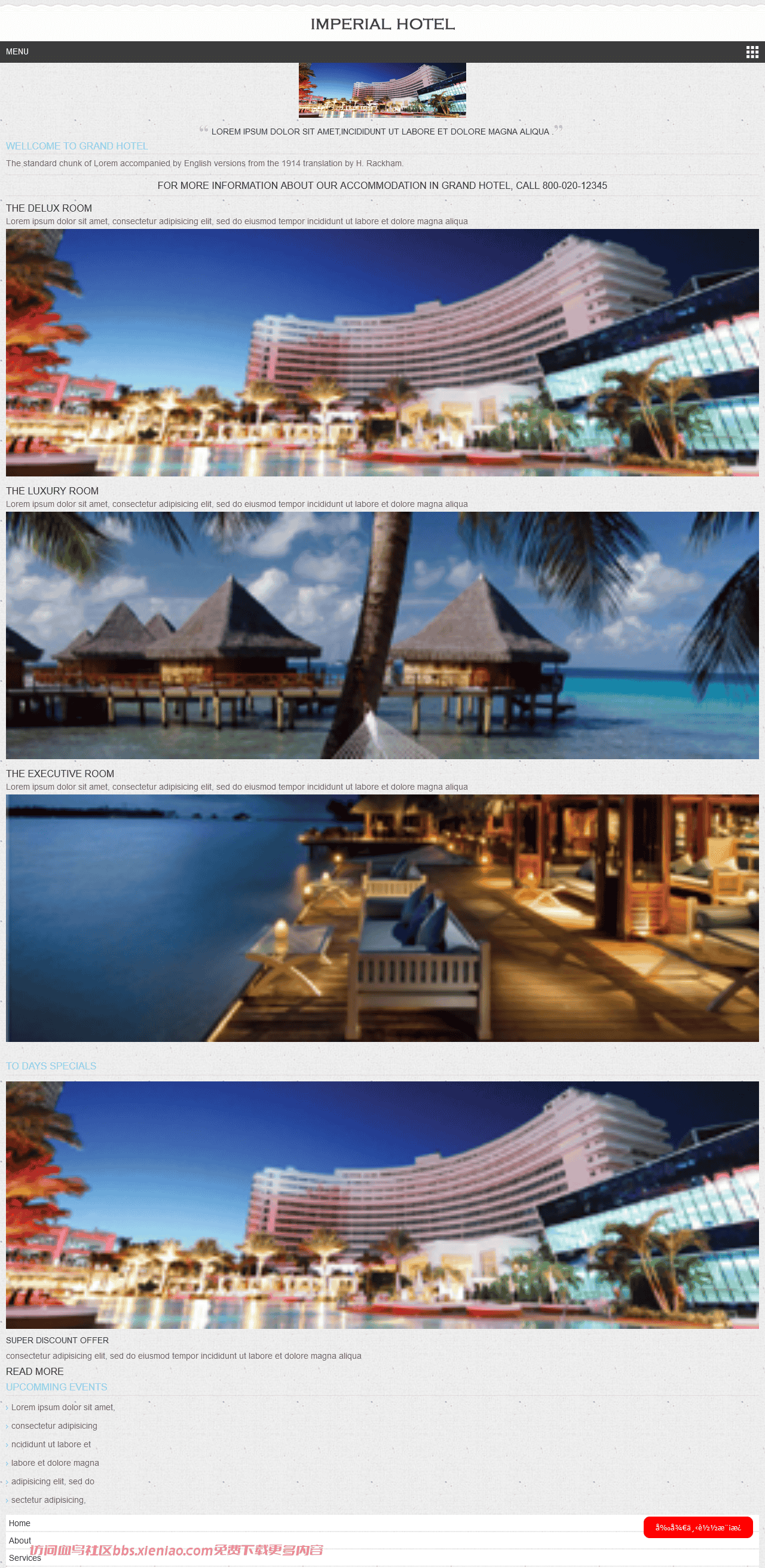 帝国酒店信息介绍网页模板免费下载html-血鸟社区