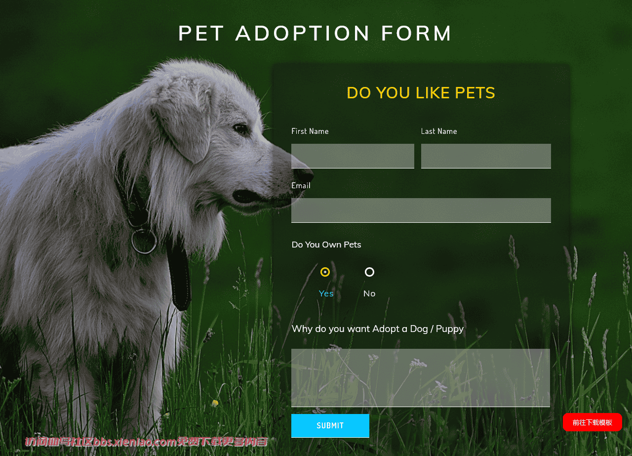 宠物收养申请表单响应式网页模板免费下载html-血鸟社区