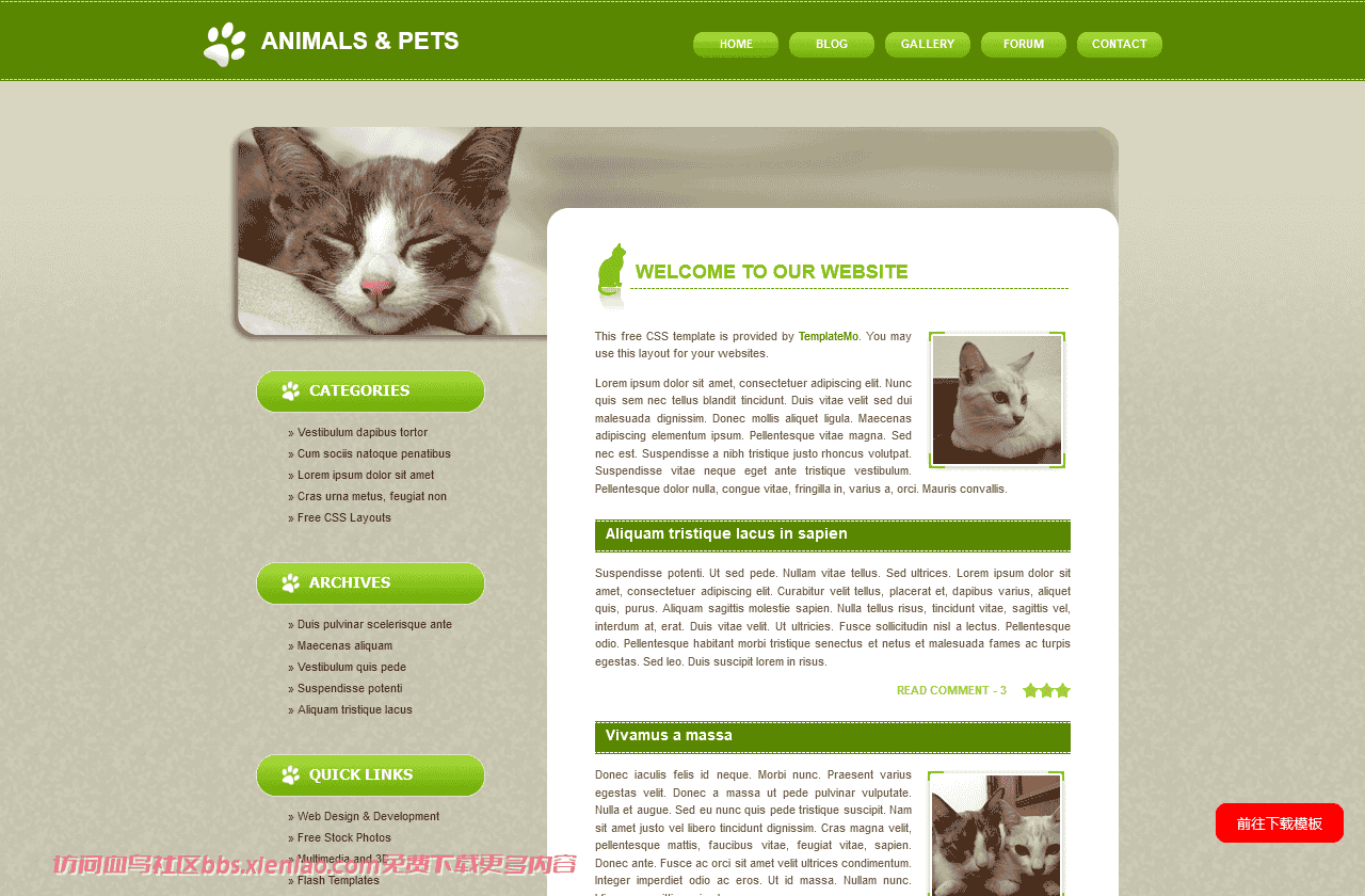 绿色宠物信息动态网页模板免费下载html-血鸟社区