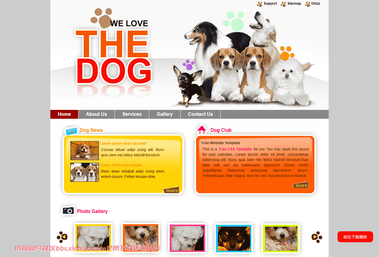 宠物狗爱好者乐园网页模板免费下载html-血鸟社区