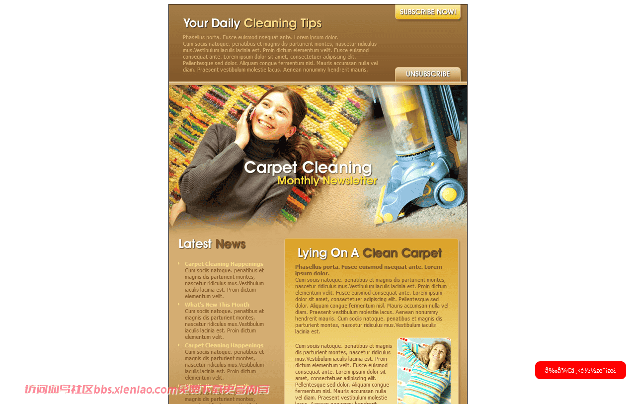 地毯清洁服务EDM网页模板免费下载html-psd-血鸟社区