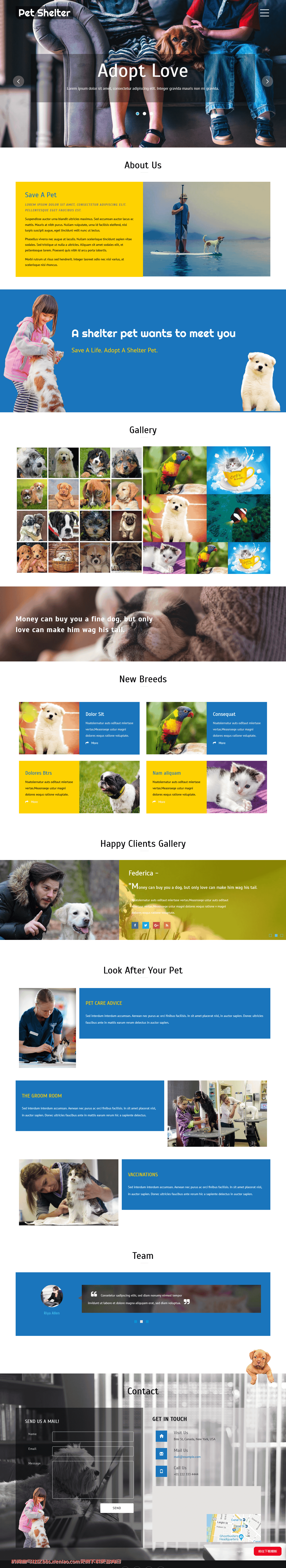 宠物收养所响应式网页模板免费下载html-血鸟社区