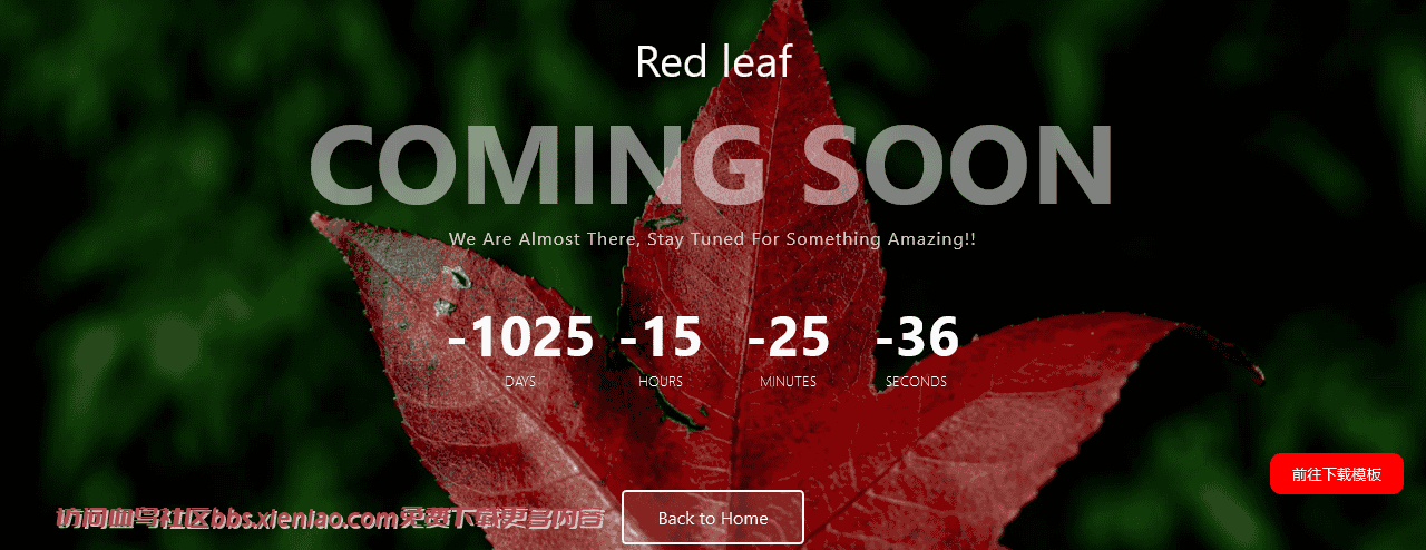 红叶倒计时响应式网页模板免费下载html-血鸟社区