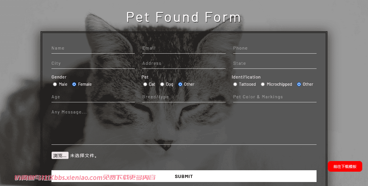 宠物登记表单响应式网页模板免费下载html-血鸟社区