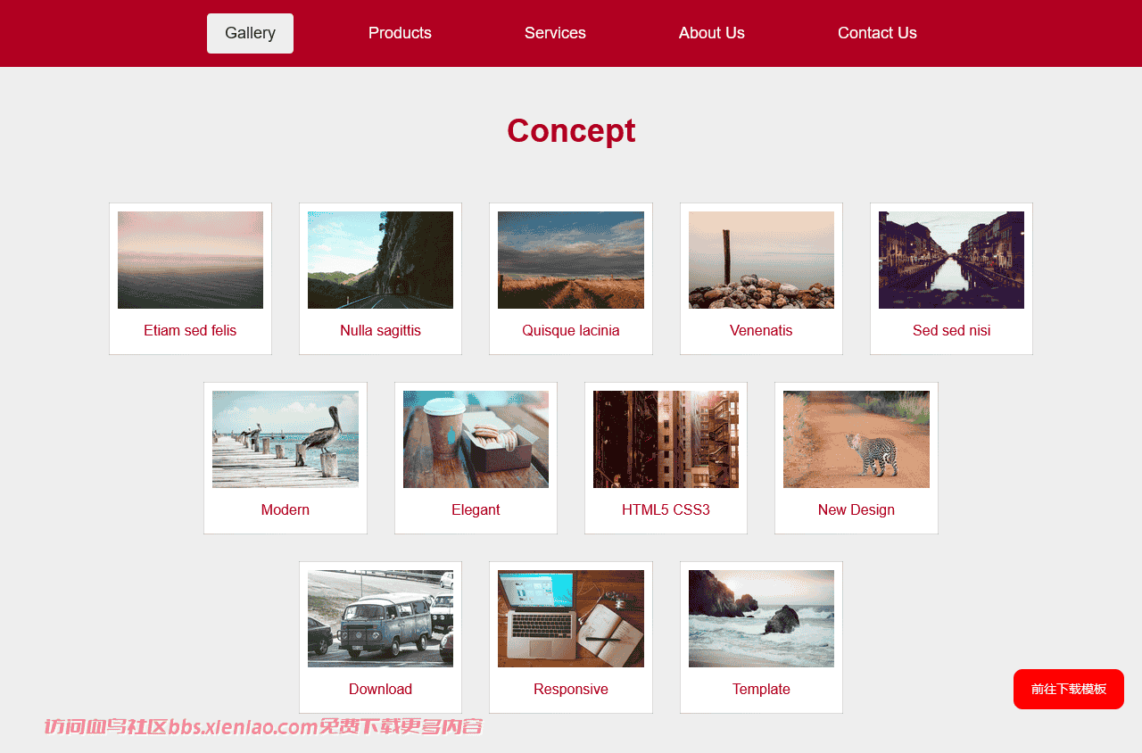红色图库展示响应式网站模板免费下载html-血鸟社区