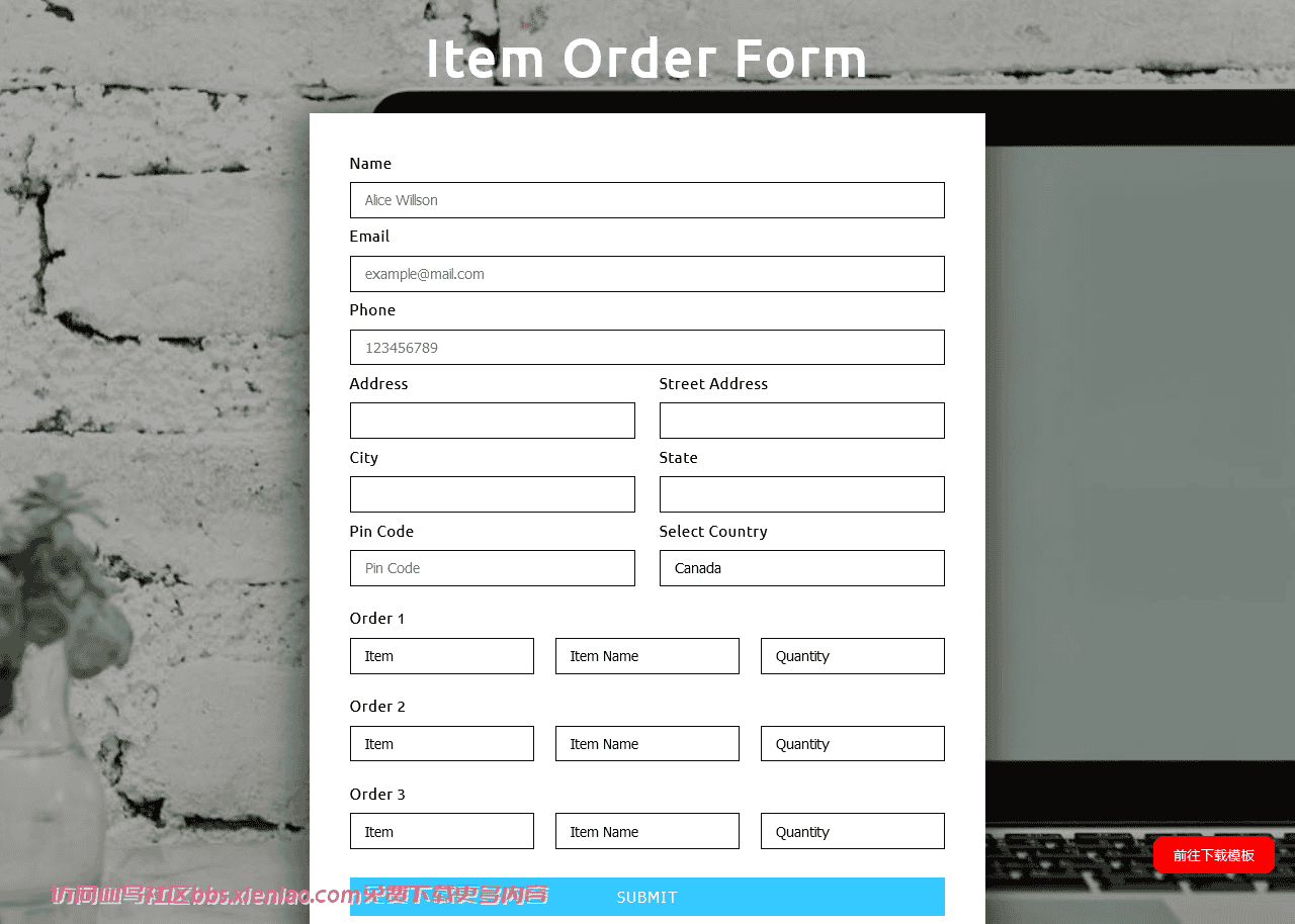 项目订单表单网页模板免费下载html-血鸟社区