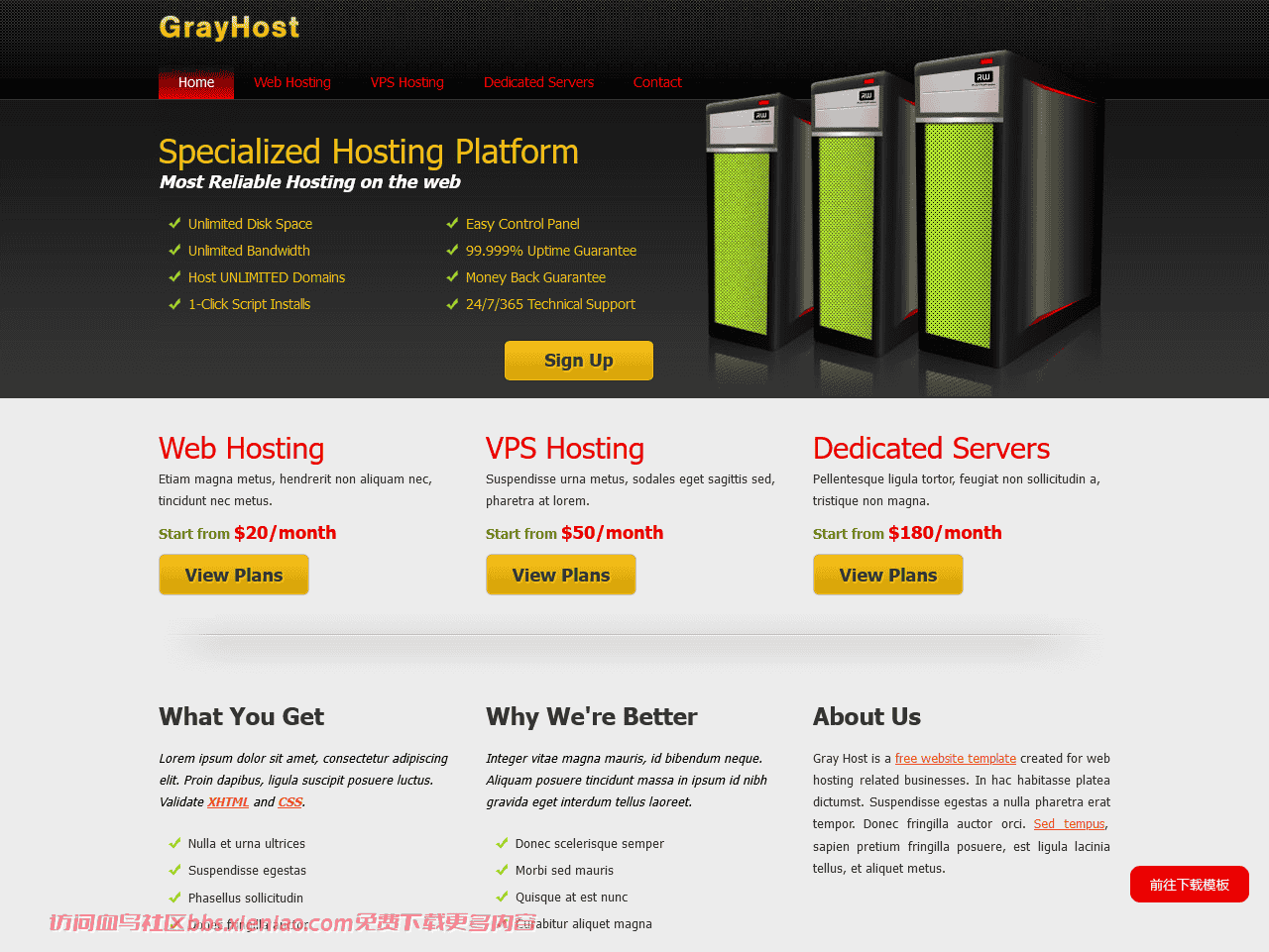 灰色主机服务器展示网页模板免费下载html-血鸟社区
