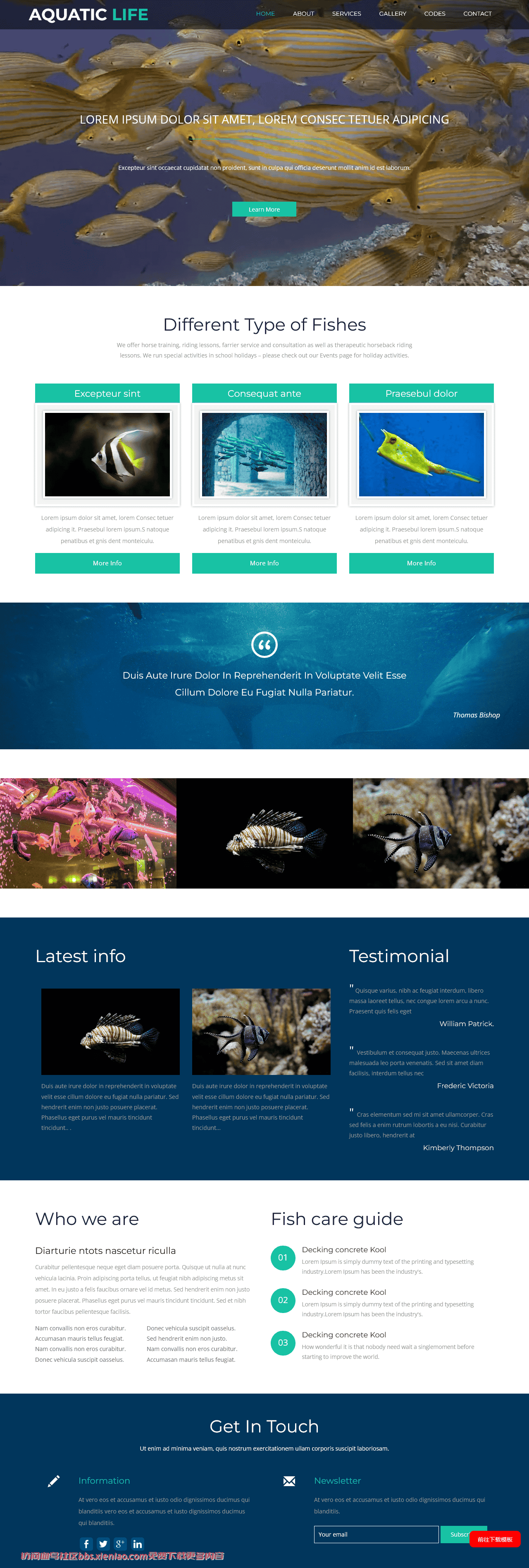 水族生活馆响应式网站模板免费下载html-血鸟社区