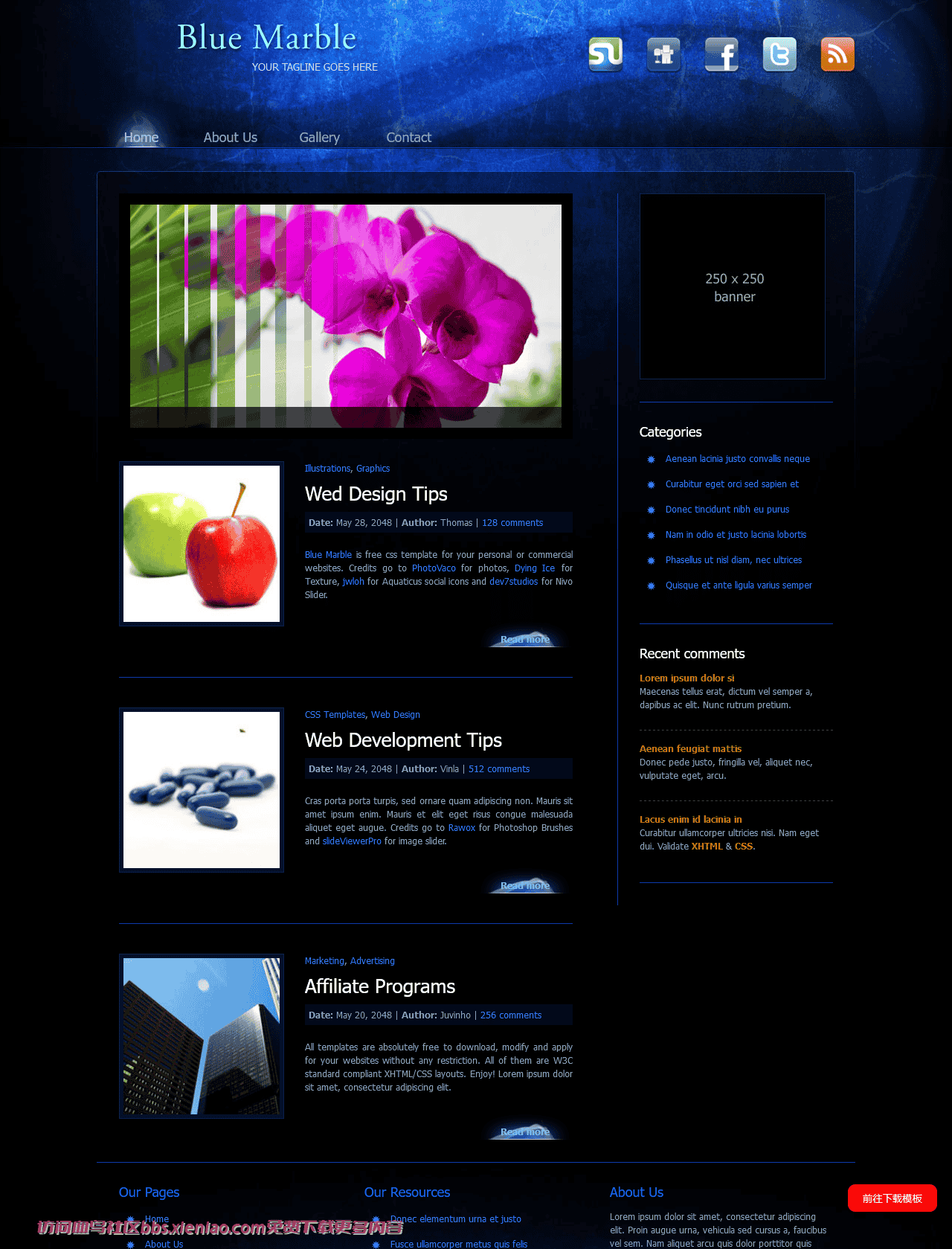 深蓝大理石纹理BLOG网页模板免费下载html-血鸟社区