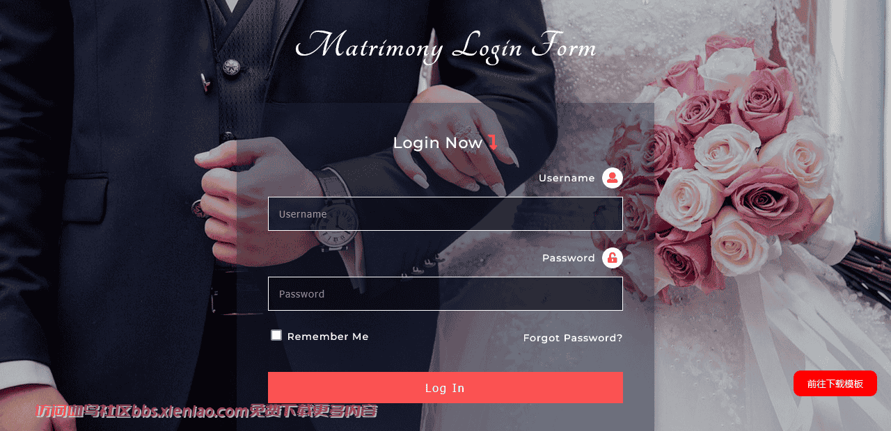 婚姻信息登录框响应式网页模板免费下载html-血鸟社区