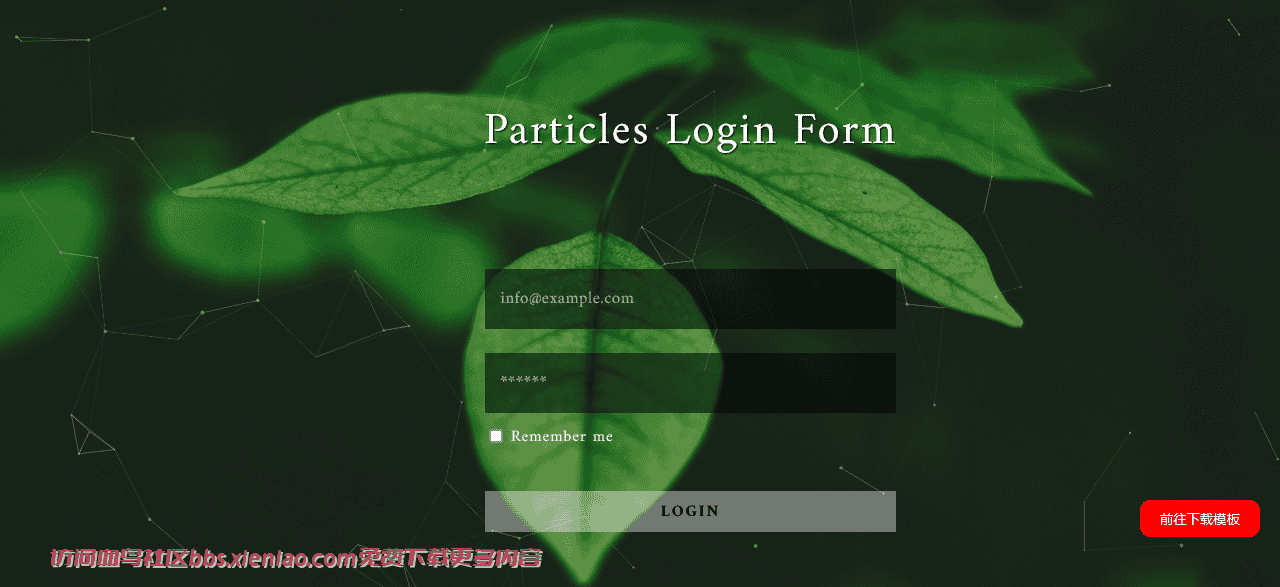 绿叶粒子登录框响应式网页模板免费下载html-血鸟社区