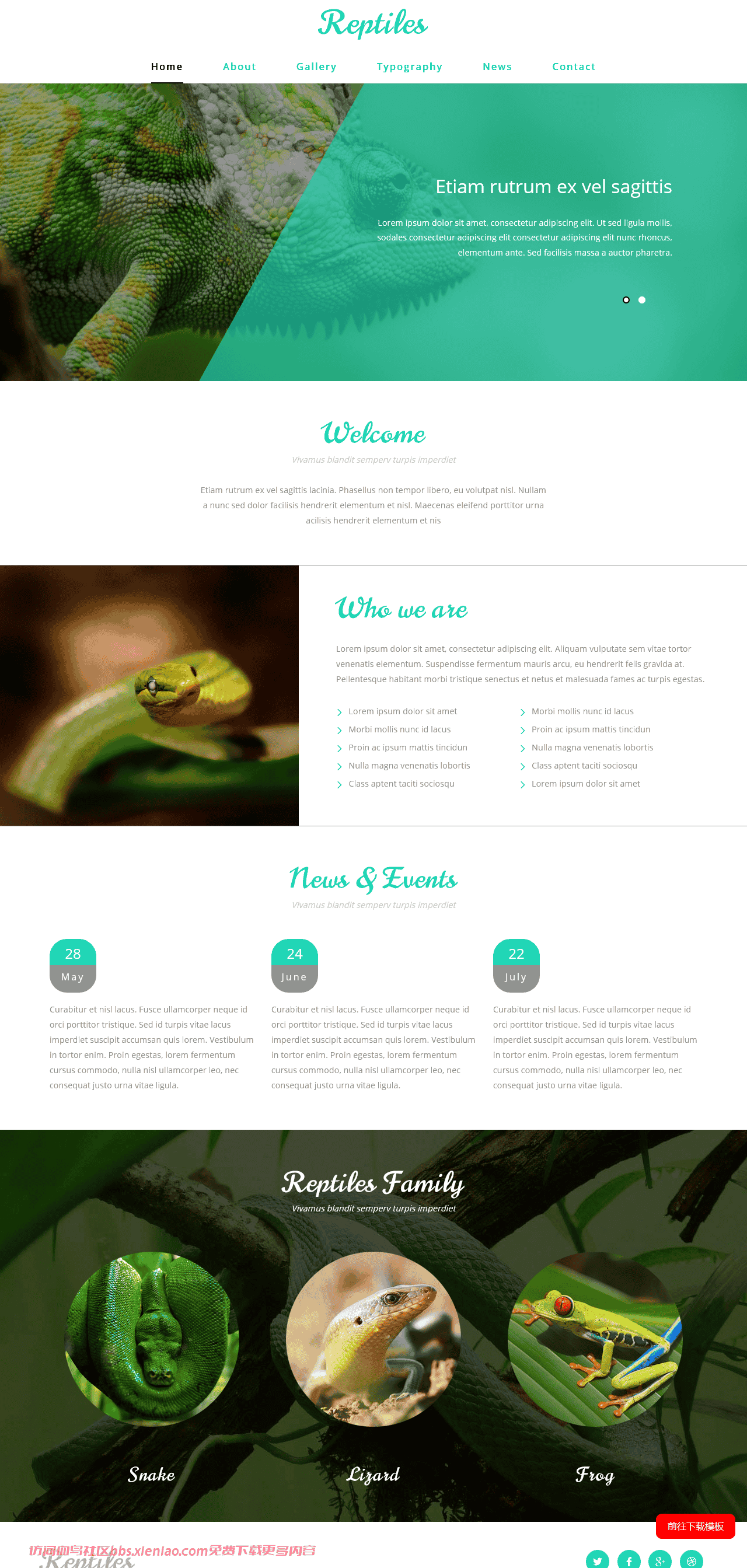 爬行动物展示介绍响应式网页模板免费下载html-血鸟社区