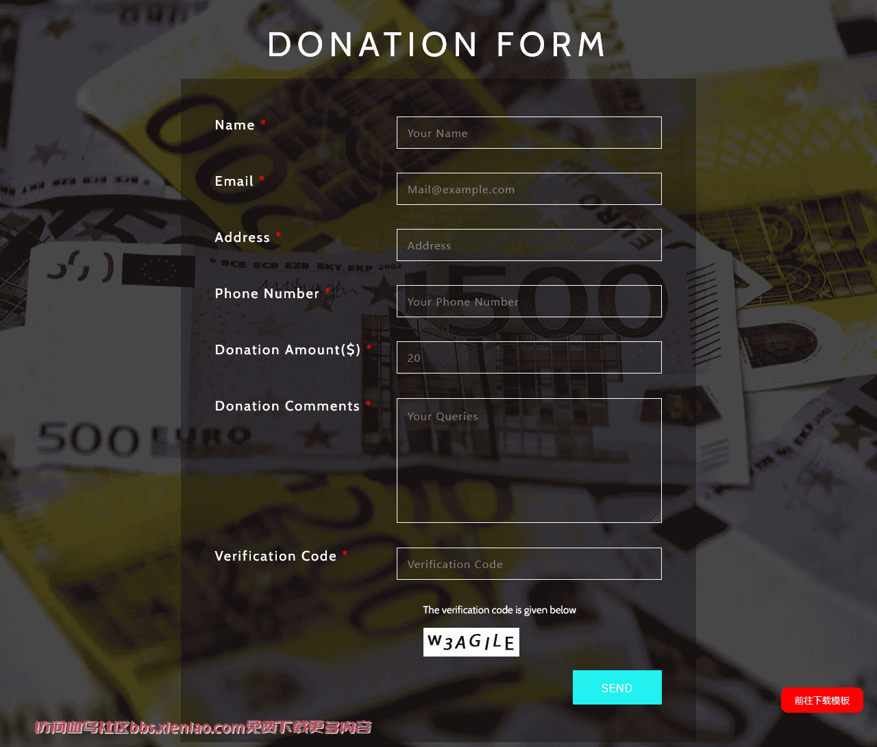 捐款表单响应式网页模板免费下载html-血鸟社区